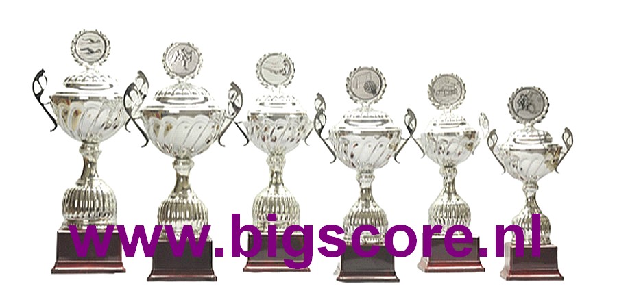 Z504 Beker Zilver met oren